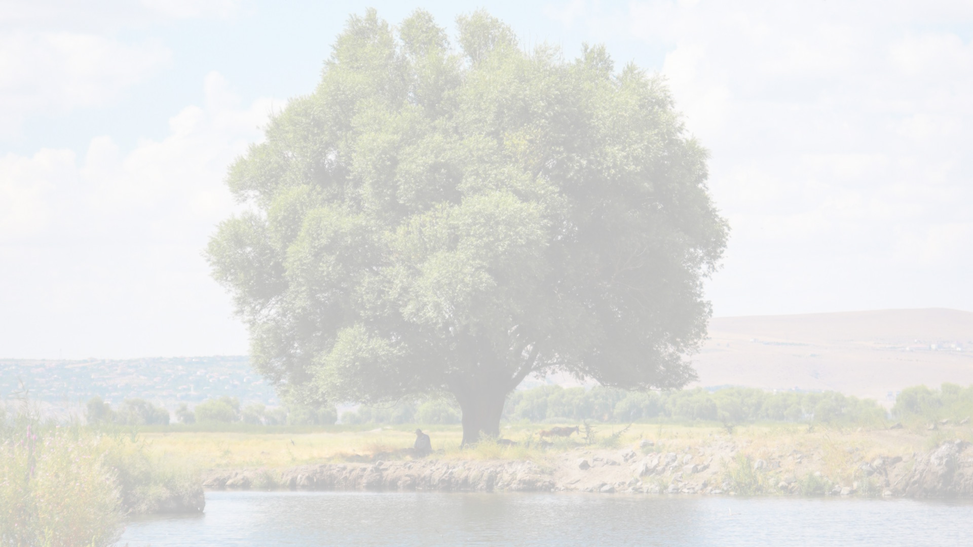 Building Resilience